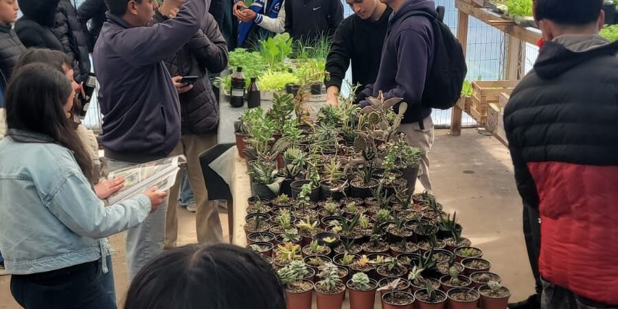 huerta en fidanza